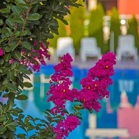 מלון דירות Anthony Complex סבטי ולאס